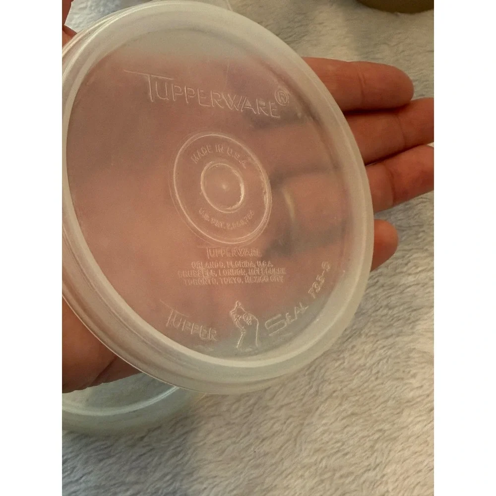 Tupperware vintage condiment